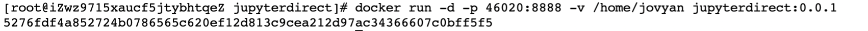 后台运行jupyterdirect