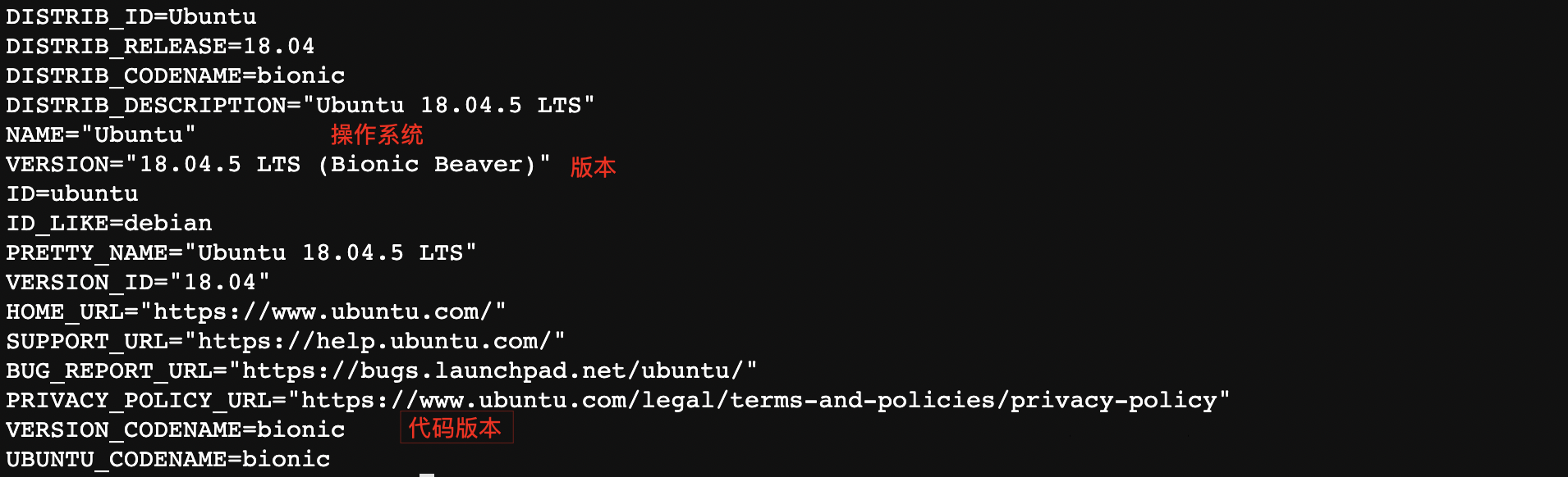 cat_release